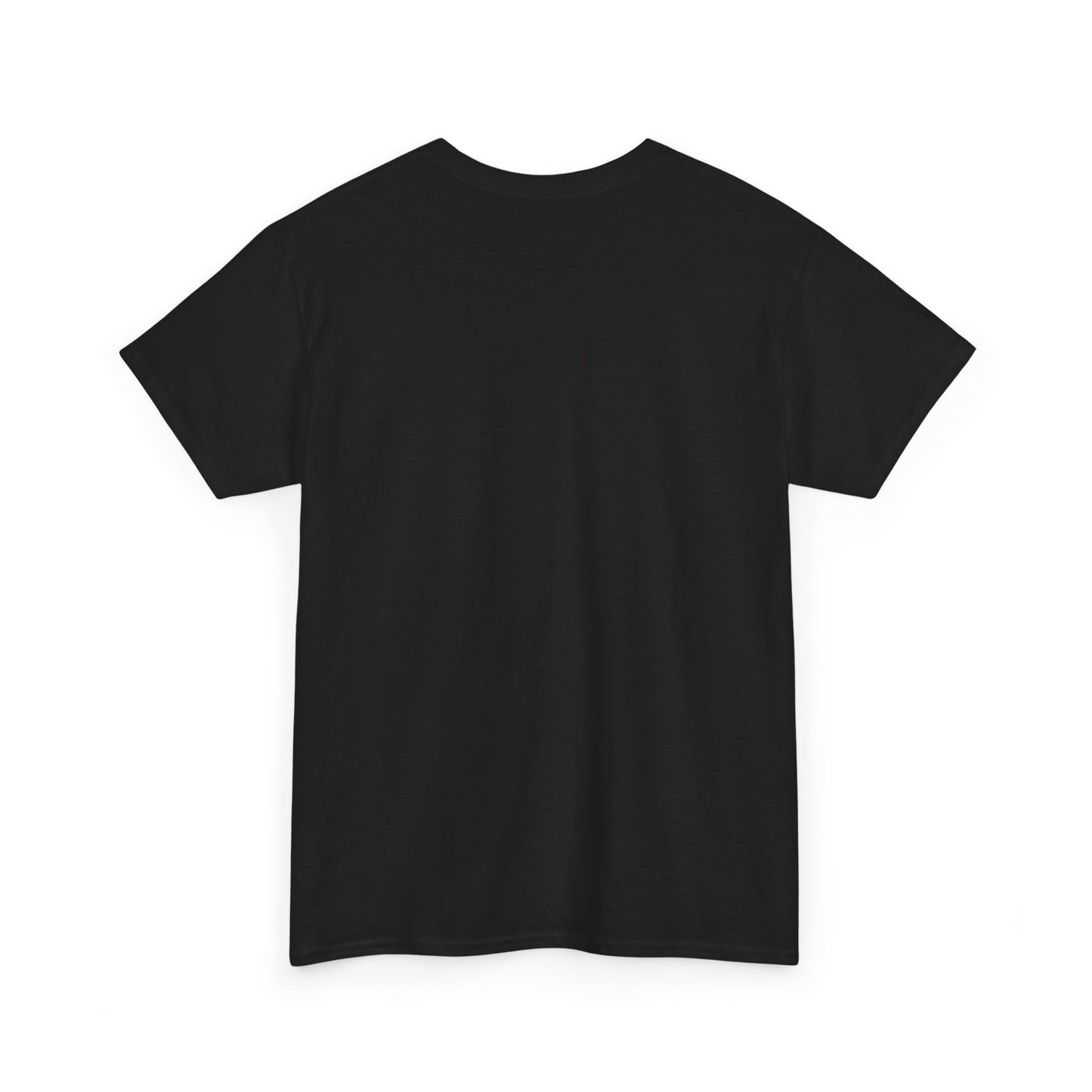 Louisiana Thing T-Shirt — 'It's a Louisiana Thing, You Wouldn't Understand' Vintage State Tee