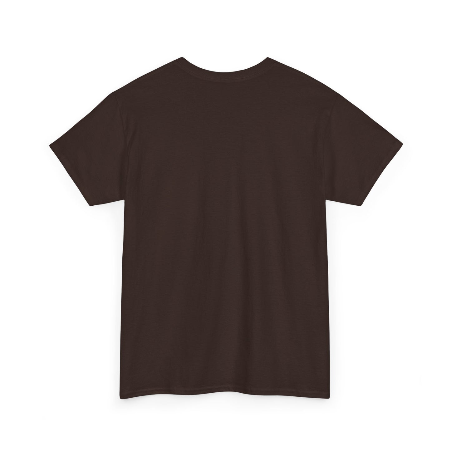 Louisiana Thing T-Shirt — 'It's a Louisiana Thing, You Wouldn't Understand' Vintage State Tee