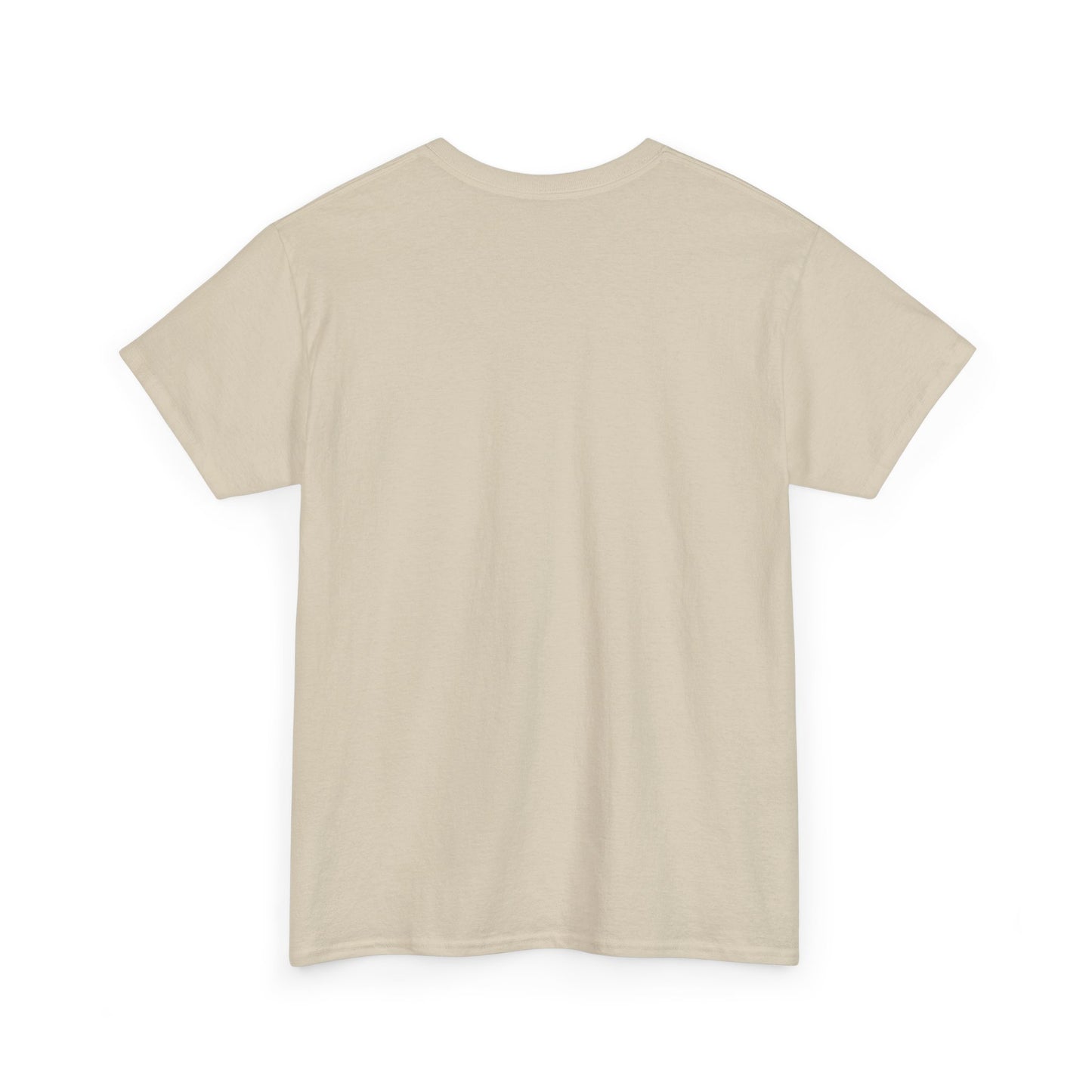 Louisiana Thing T-Shirt — 'It's a Louisiana Thing, You Wouldn't Understand' Vintage State Tee