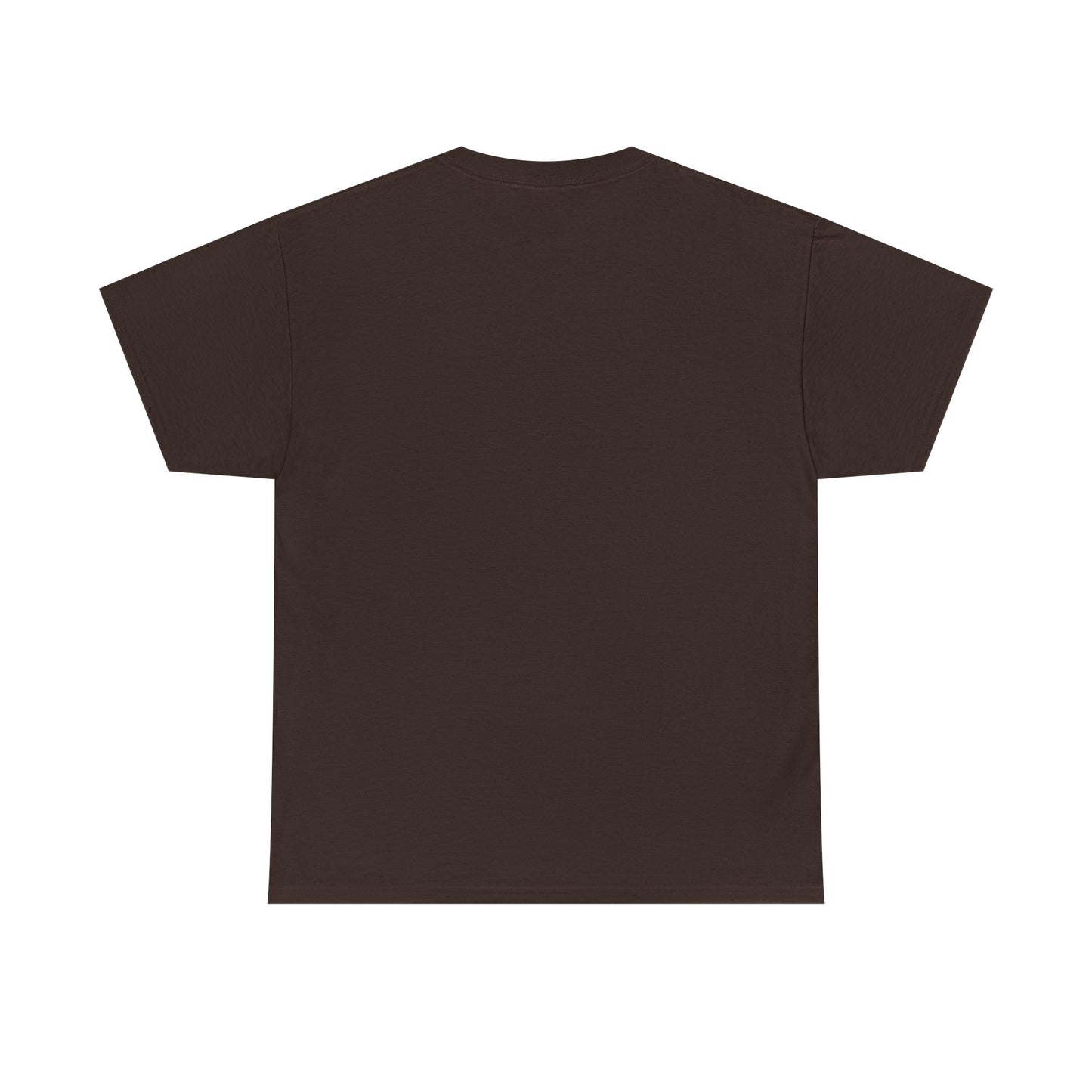 Louisiana Thing T-Shirt — 'It's a Louisiana Thing, You Wouldn't Understand' Vintage State Tee