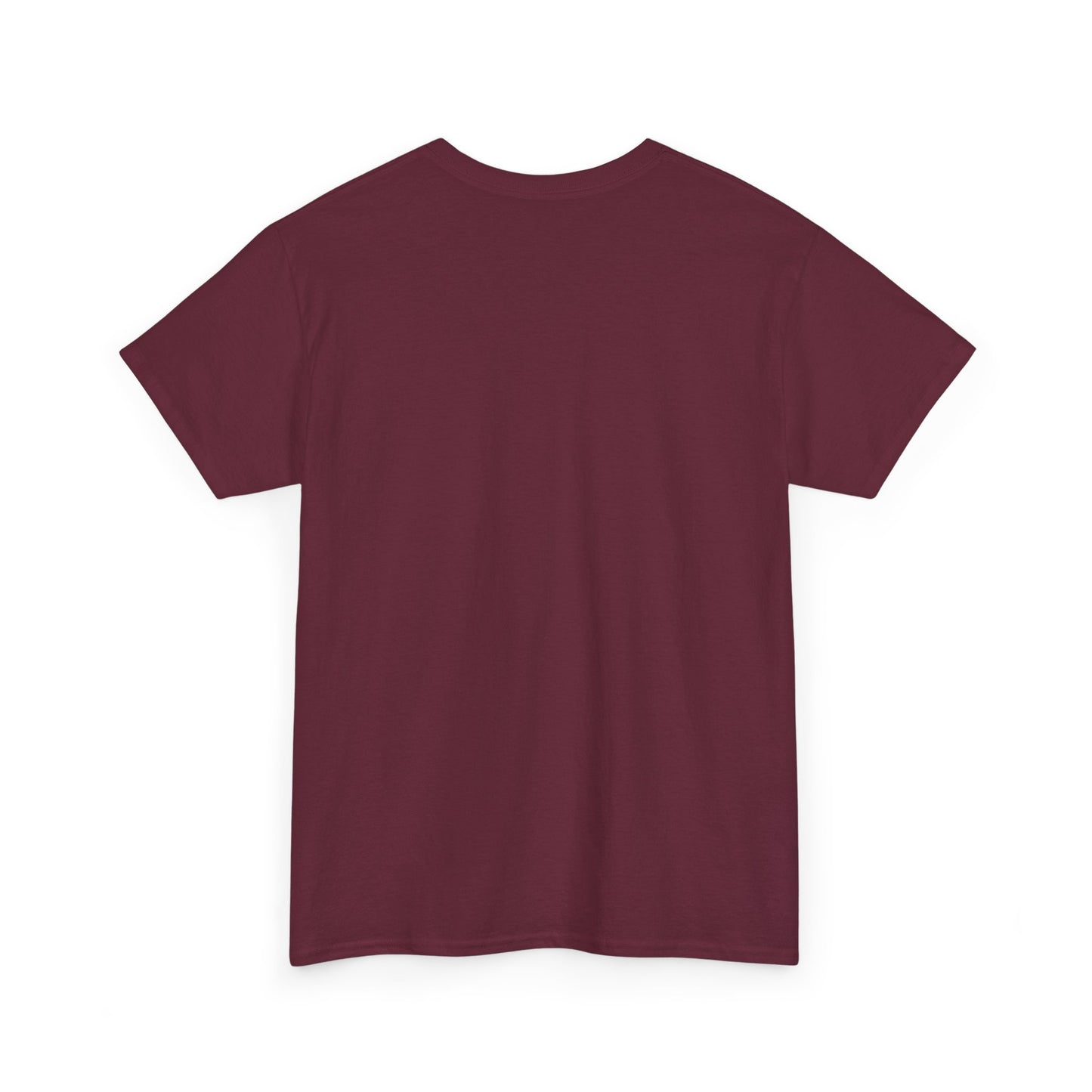 Louisiana Thing T-Shirt — 'It's a Louisiana Thing, You Wouldn't Understand' Vintage State Tee